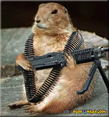 http://peoresnada.com/pictures/h/groundhog.jpg